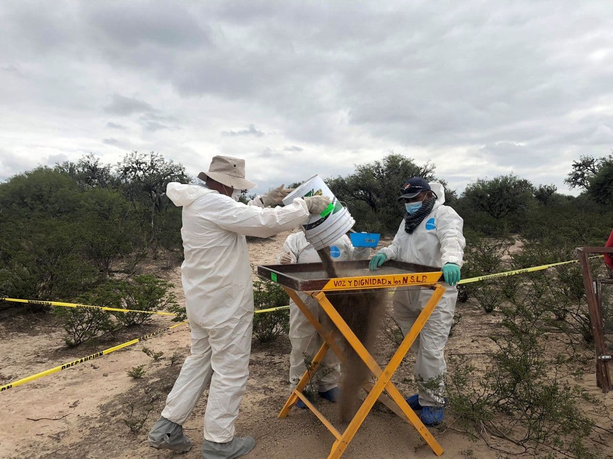 Arquidiócesis de SLP califica a México como un campo de exterminio