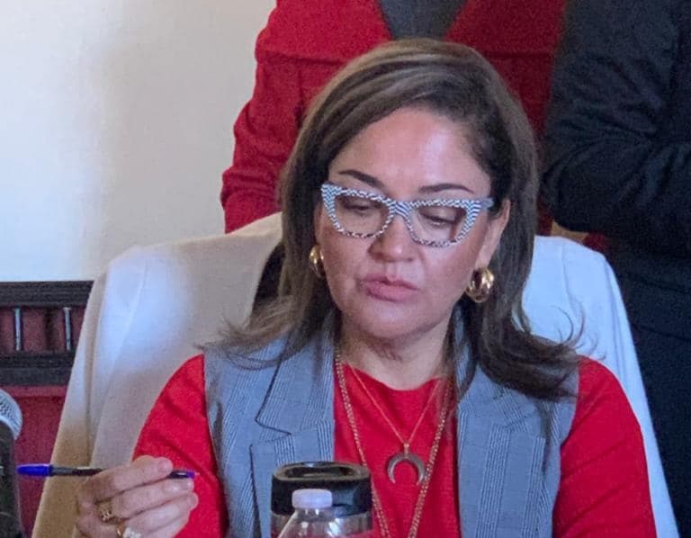 Renuncia Maribel Lemoine al PRI tras 33 años de militancia