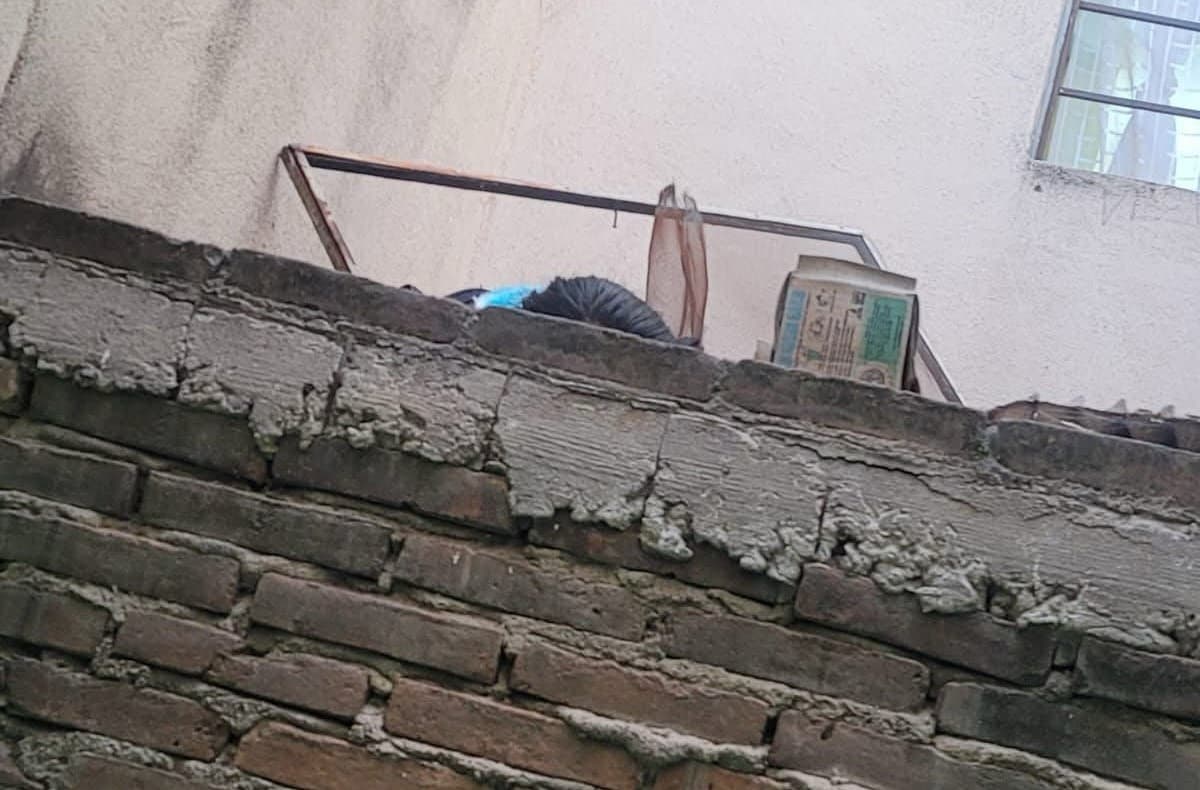 Menor resulta gravemente herida al caer desde un segundo piso en Prados