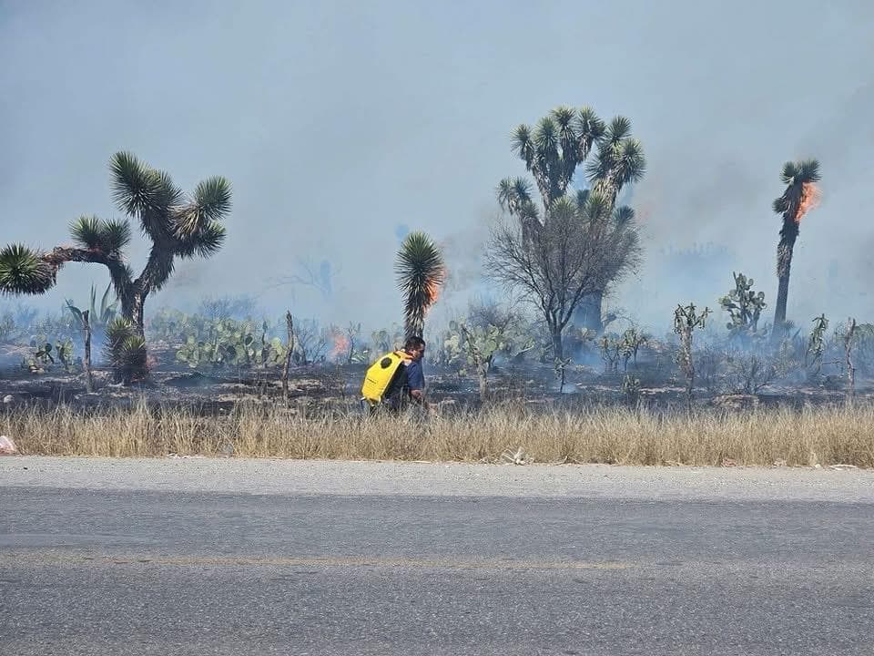 Se registra incendio en inmediaciones de Ciudad Satélite en Pozos