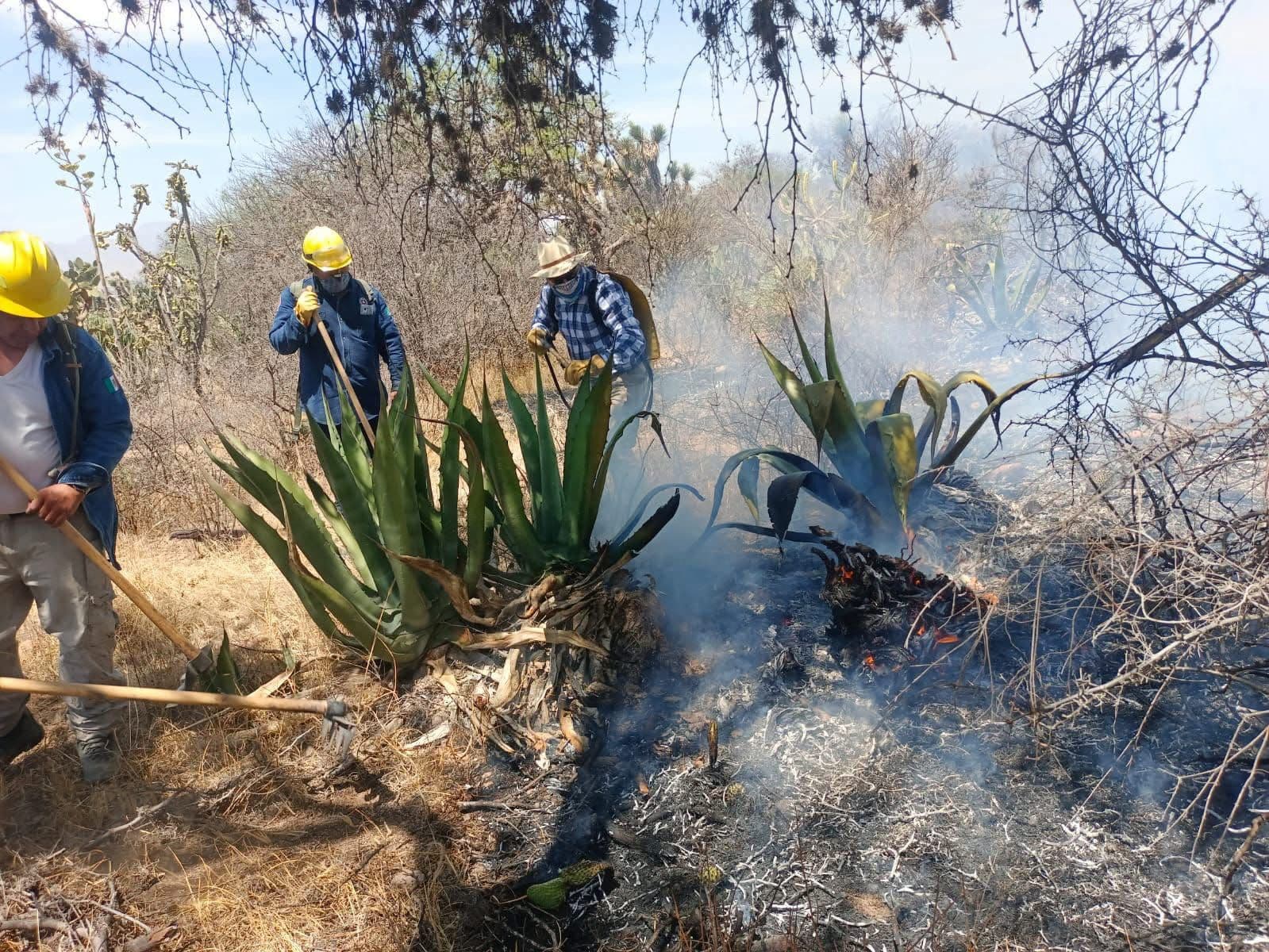 Llama legislador a fortalecer los cuerpos de emergencia ante incendios