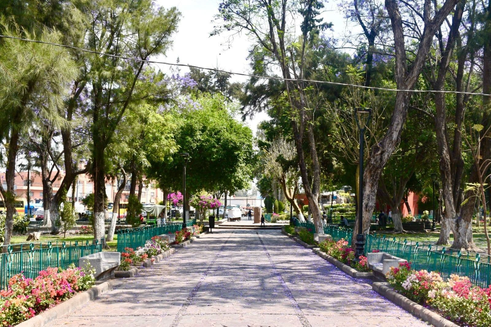 Mantiene Gobierno Municipal la belleza de la Alameda Juan Sarabia