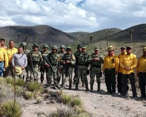 Sedena activa el Plan DN-III-E para sofocar incendios en la Huasteca