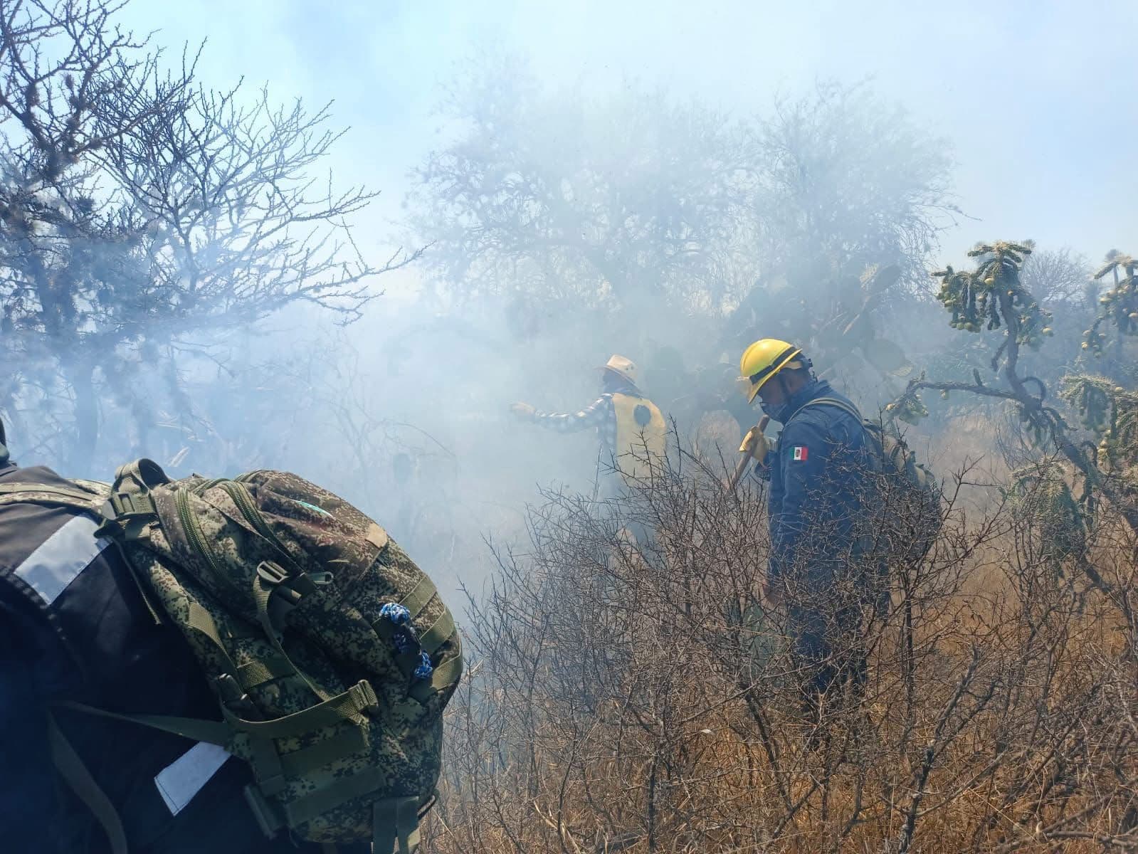 Incendios forestales en SLP superan cifras de 2024 en solo tres meses
