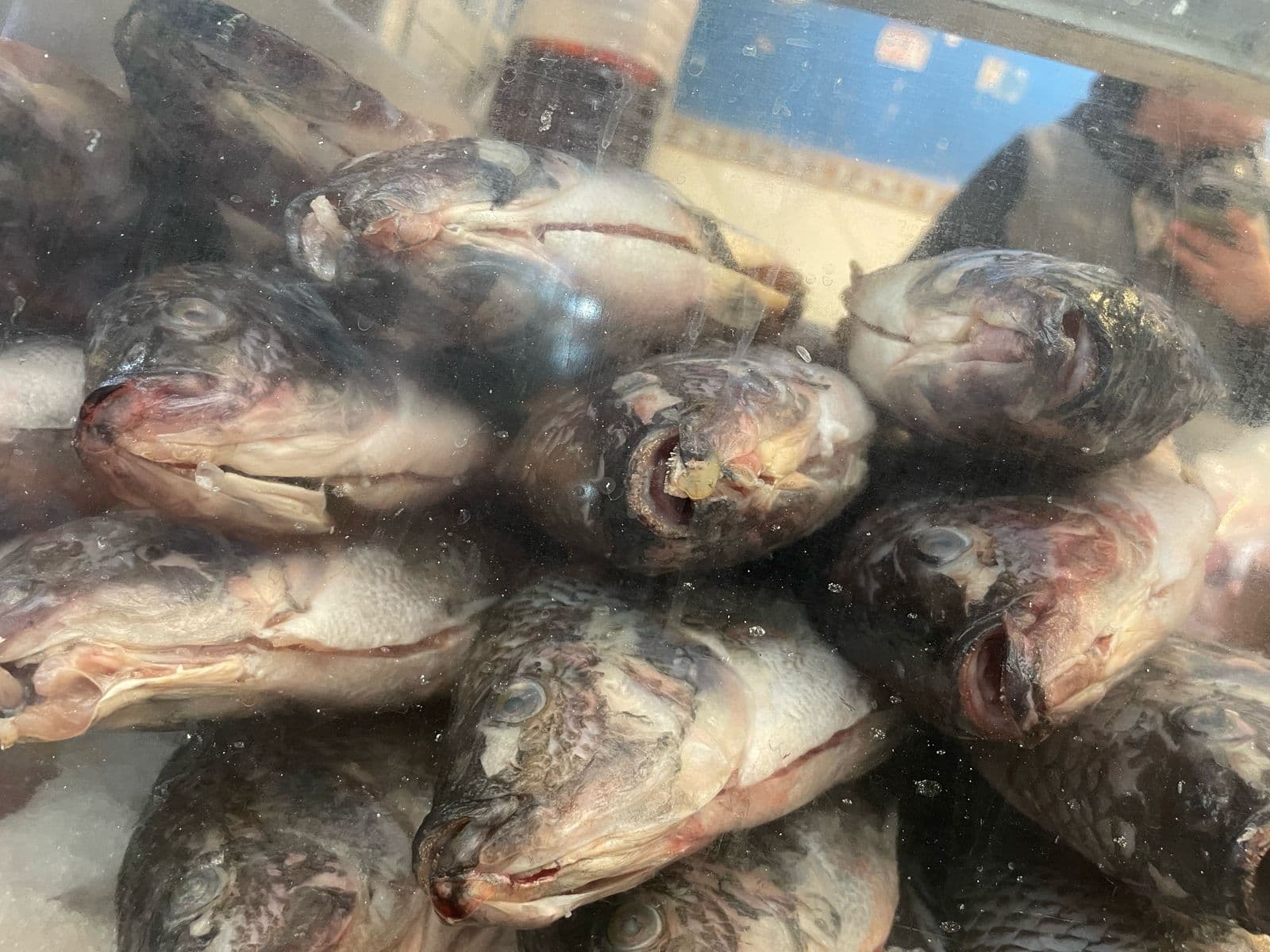 Cuaresma tibia: Ventas de pescaderías crecen solo un 20%
