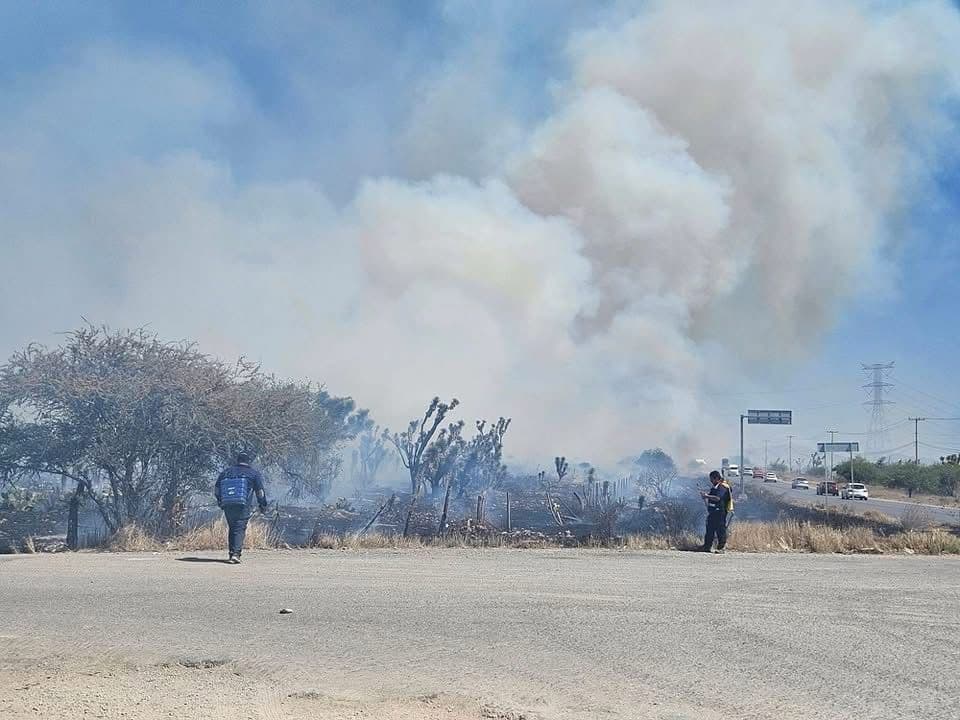 Incendios forestales afectan 1,302 hectáreas en San Luis Potosí en 2025