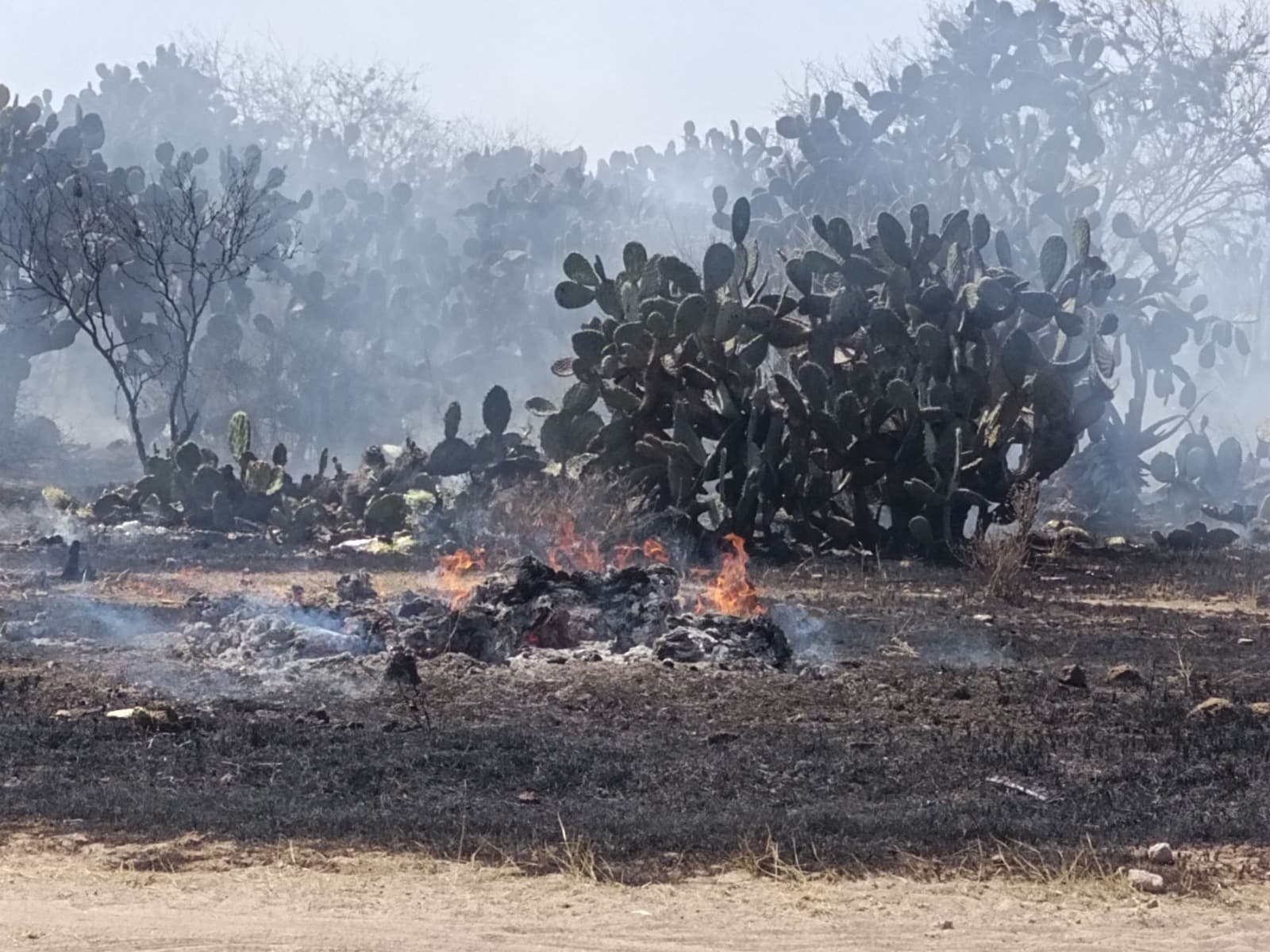Señalan a Mexquitic de Carmona como el principal punto rojo de incendios