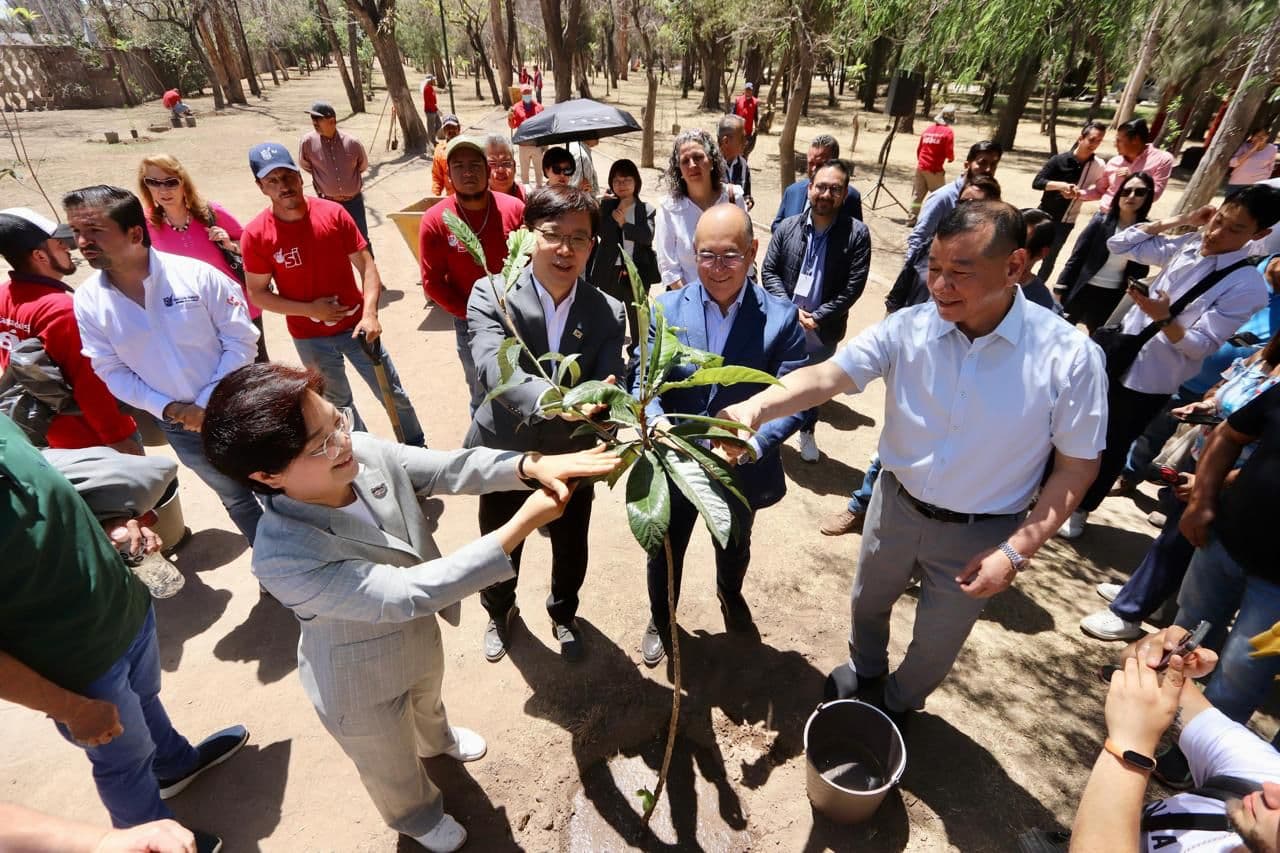 Fortalece alianza San Luis Capital y Corea con Jardín de la Diplomacia