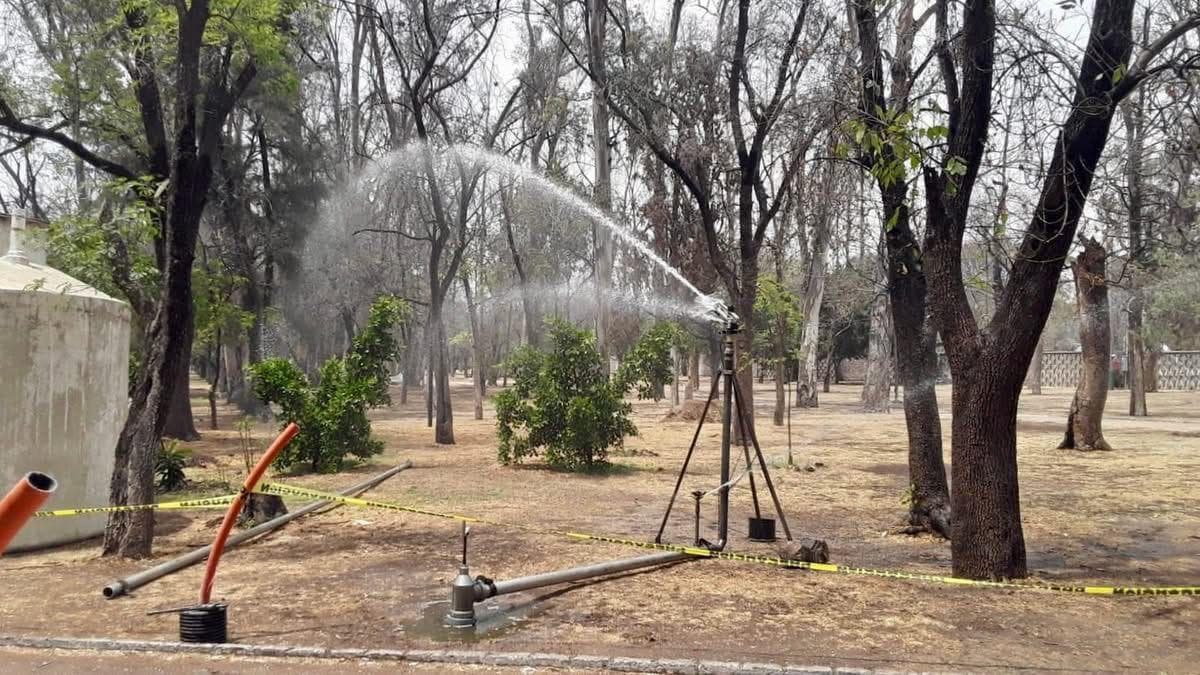 Realiza Ayuntamiento riego sustentable en el parque de Morales