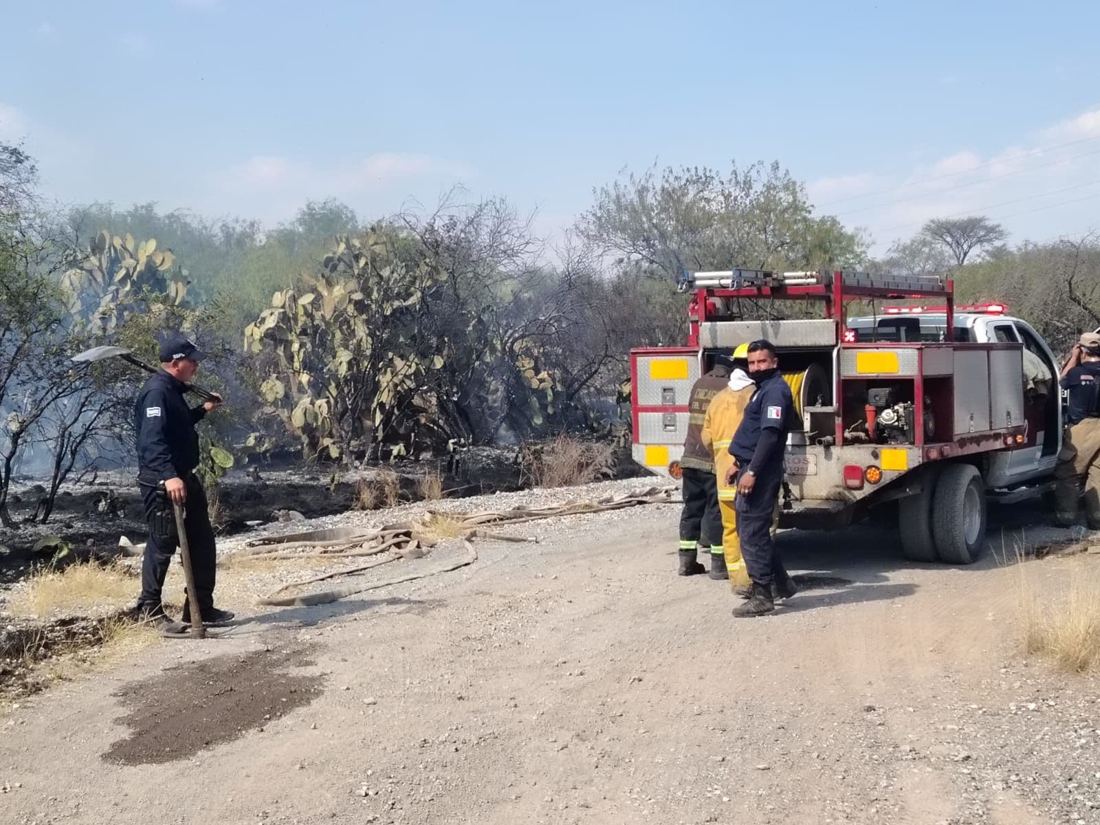 Logran sofocar incendio en la comunidad de Capulines
