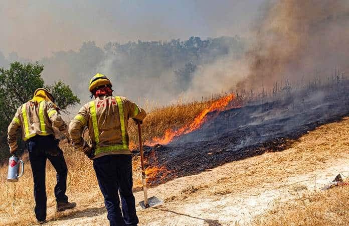 Arde SLP con 9 incendios forestales activos en 8 municipios