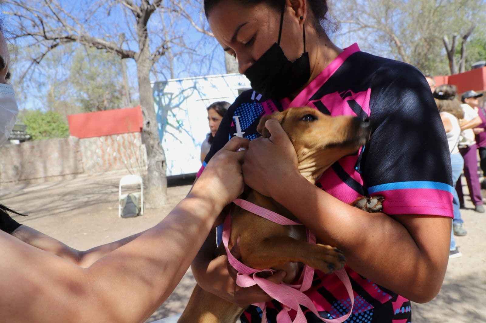 Refuerza Gobierno de SLP campaña de vacunación antirrábica