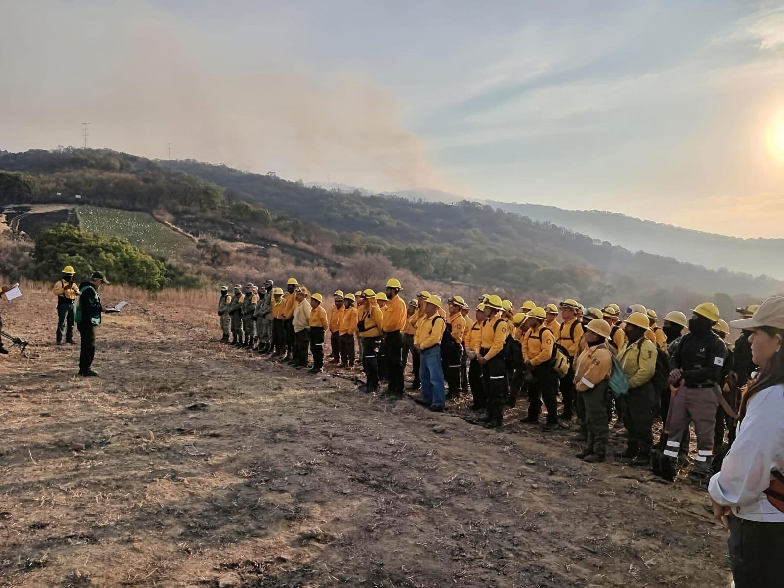 Arde San Luis: 84 incendios forestales y 12 mil hectáreas devastadas