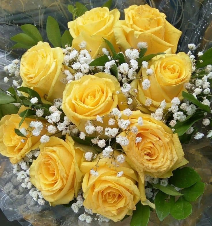Flores hasta 50 % más caras en SLP para el Día de las Madres