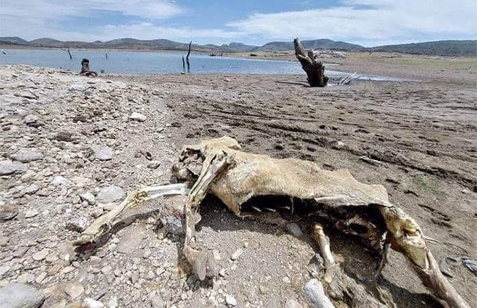 Solo un municipio se salva de la sequía que azota a la entidad: Conagua