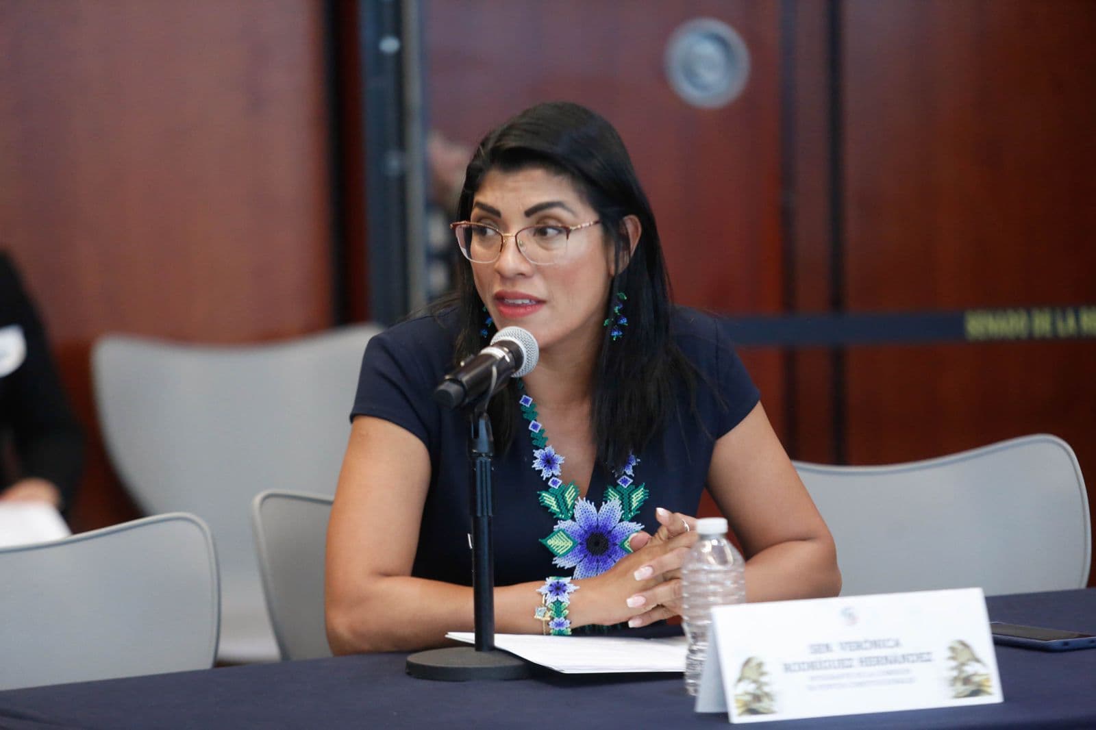 Advierte Vero Rodríguez que Ley Censura es un grave riesgo para México