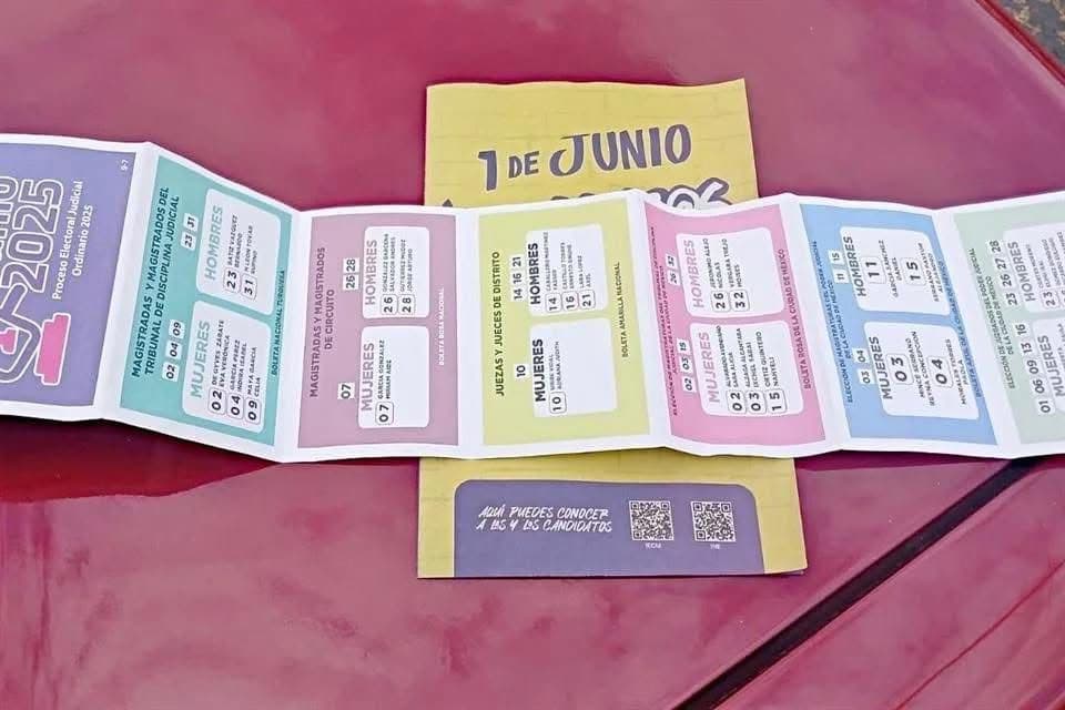 Aclara INE de SLP que uso personal de acordeones no está prohibido