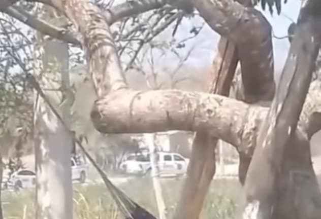 Balacera en El Pujal deja cinco detenidos