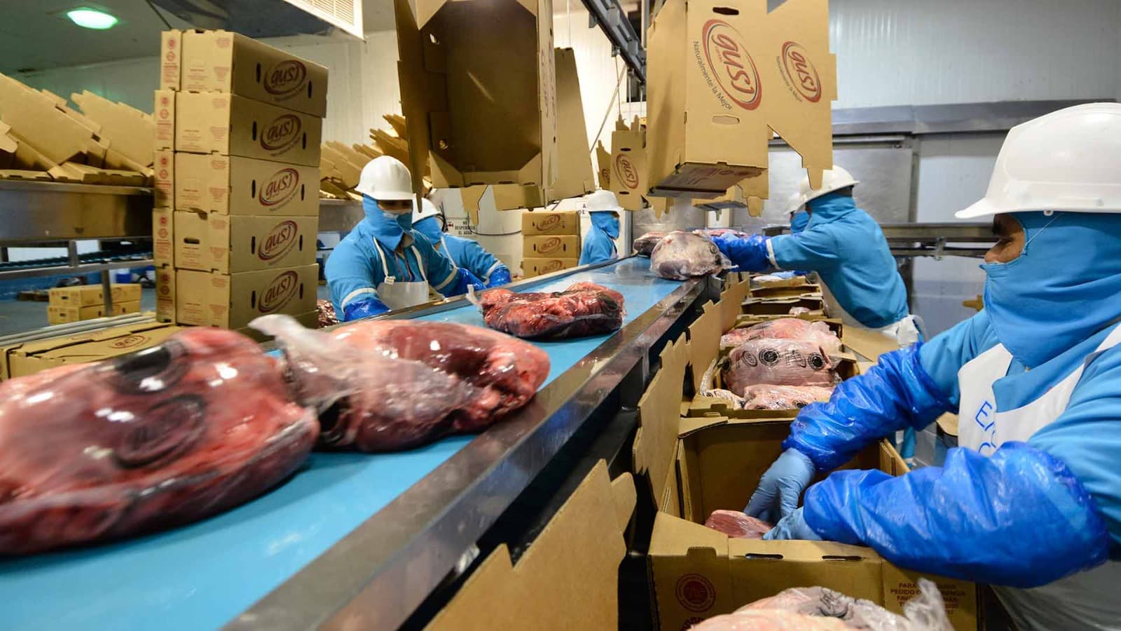Reconoce Empresa Gusi riesgo de trabajo tras muerte de empleados en el Río Tampaón