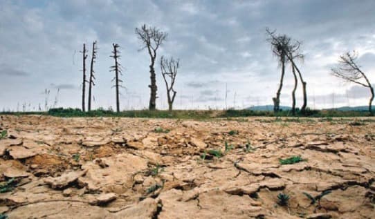 Persiste sequía en San Luis Potosí pese a lluvias recientes