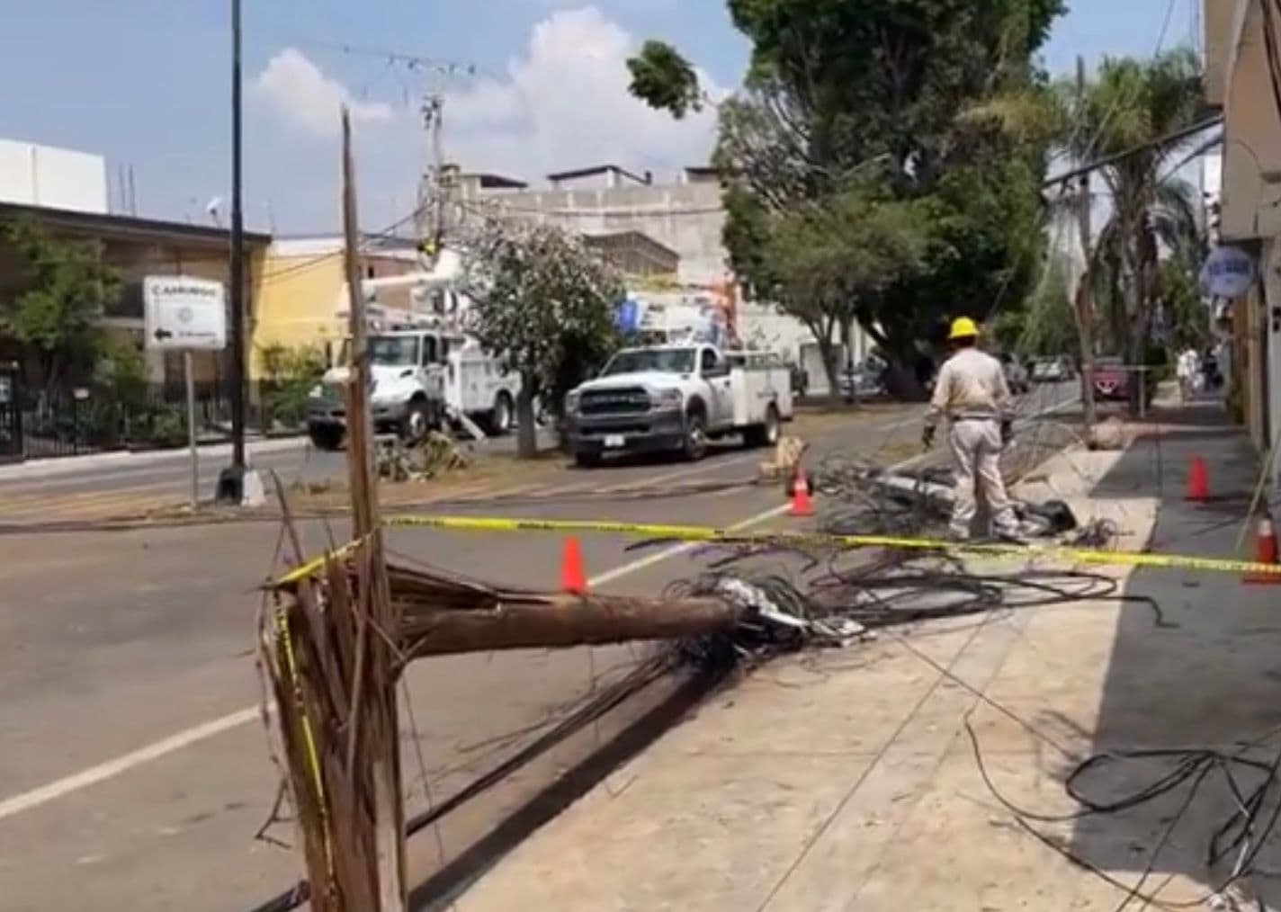 Tromba derriba 24 árboles en SLP