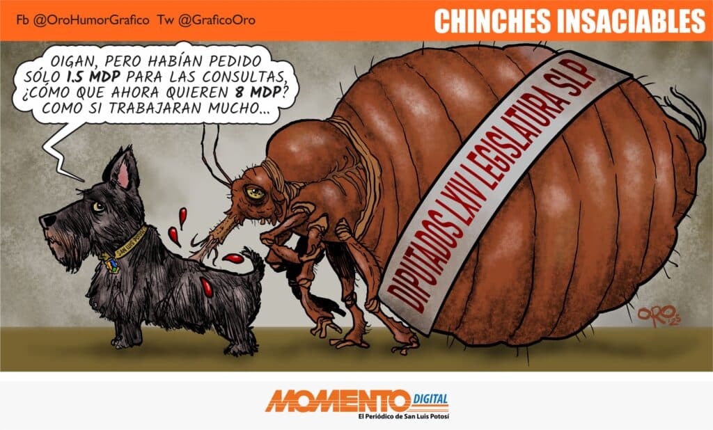 CHINCHES INSACIABLES