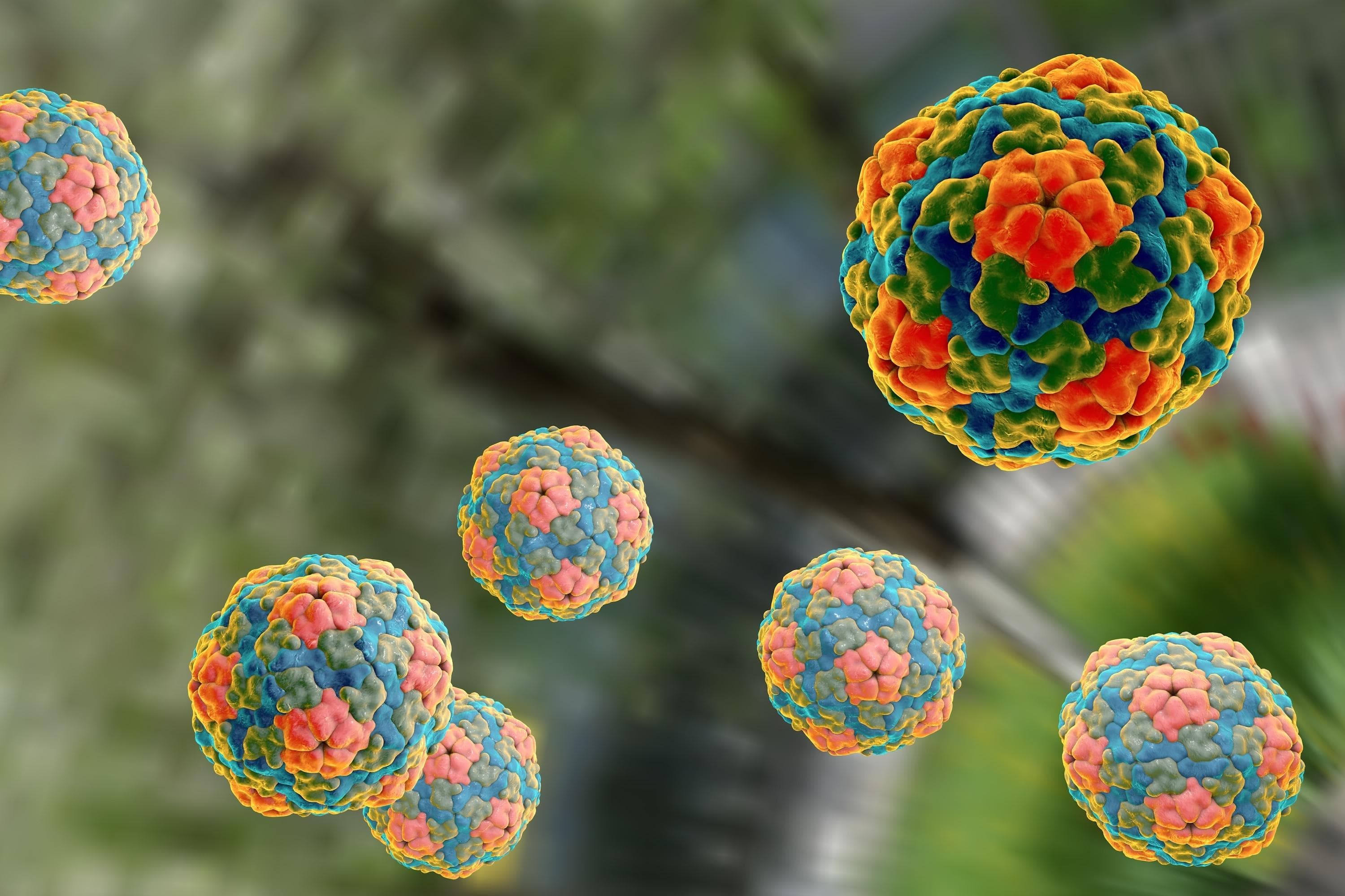 Repunte de hepatitis A en San Luis Potosí durante 2025