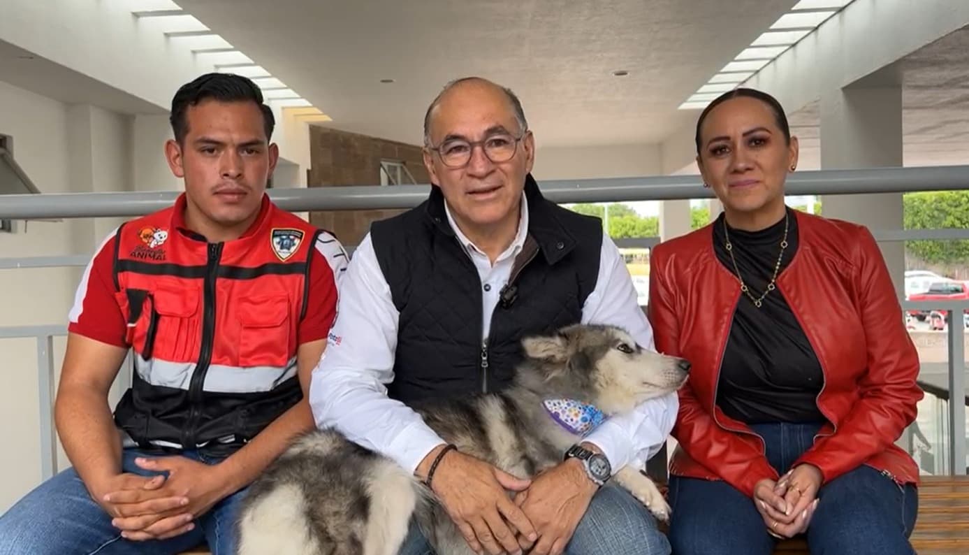 Invita Ayuntamiento a jornada de adopción de mascotas