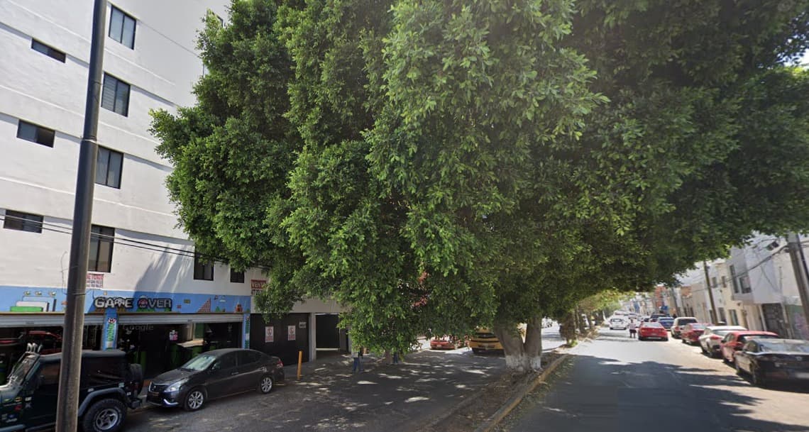 Descarta Ayuntamiento que árbol ubicado en Santos Degollado sea peligroso