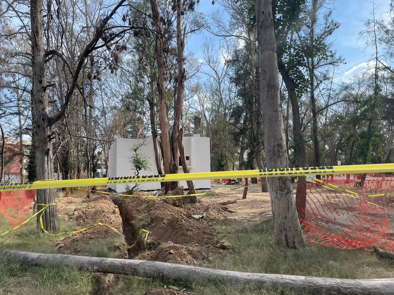 Denuncian omisión de impacto ambiental en obras públicas estatales