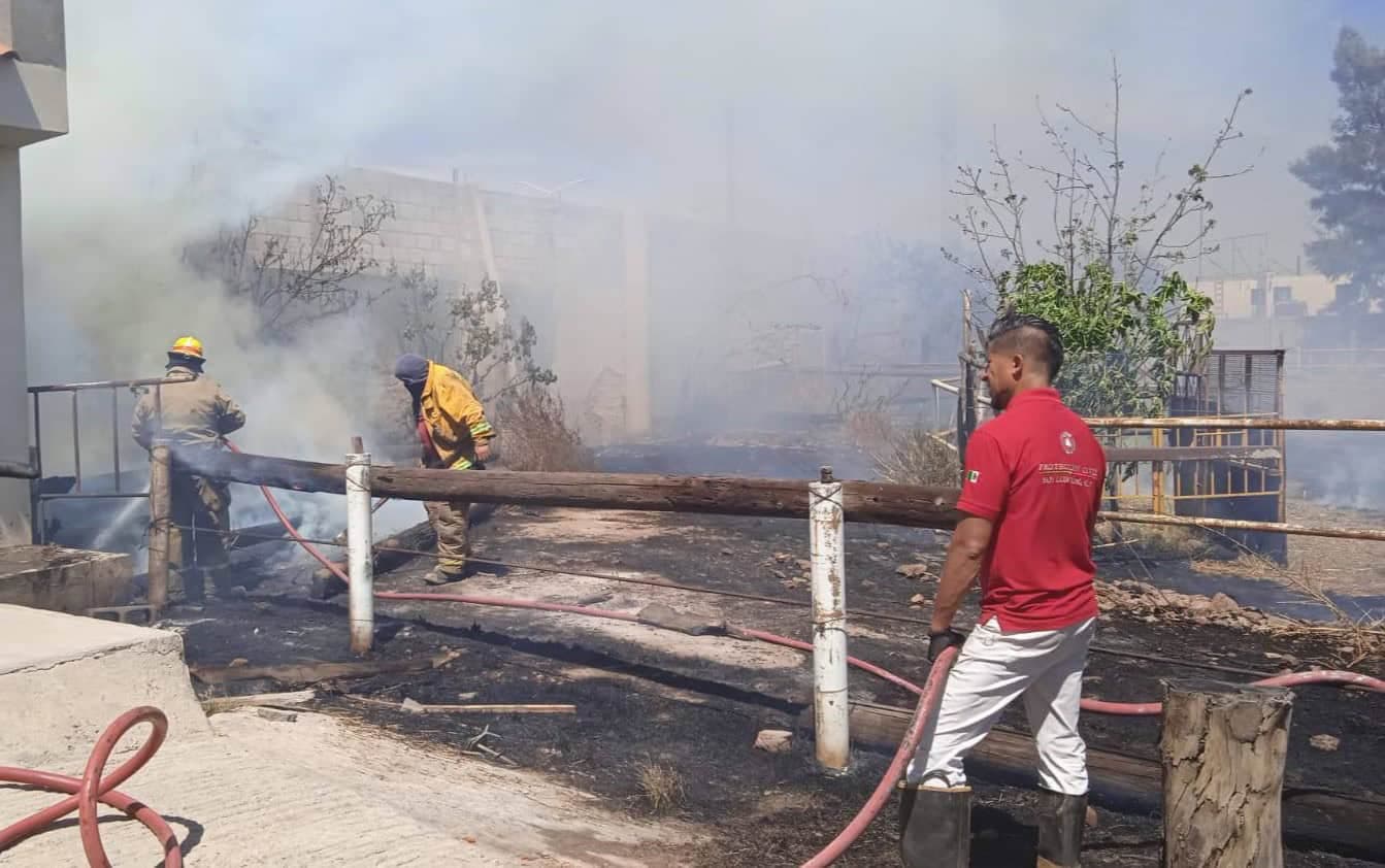 Se disparan incendios en casas y autos alertan Bomberos Metropolitanos