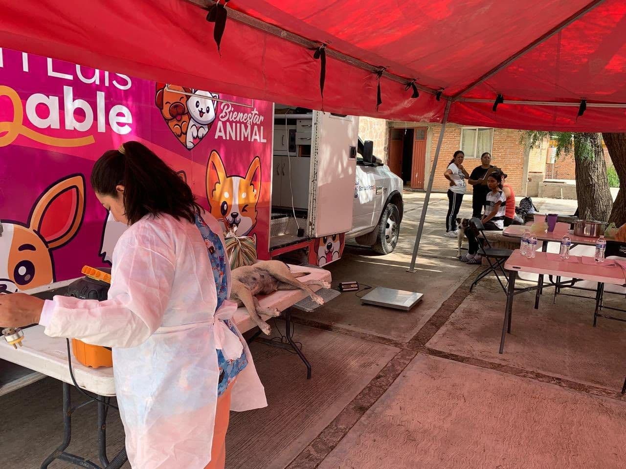 Llega Esterilizando Juntos a la zona norte de SLP