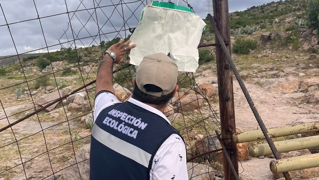 Emprende Ayuntamiento acciones tras denuncias por envenenamiento de perros