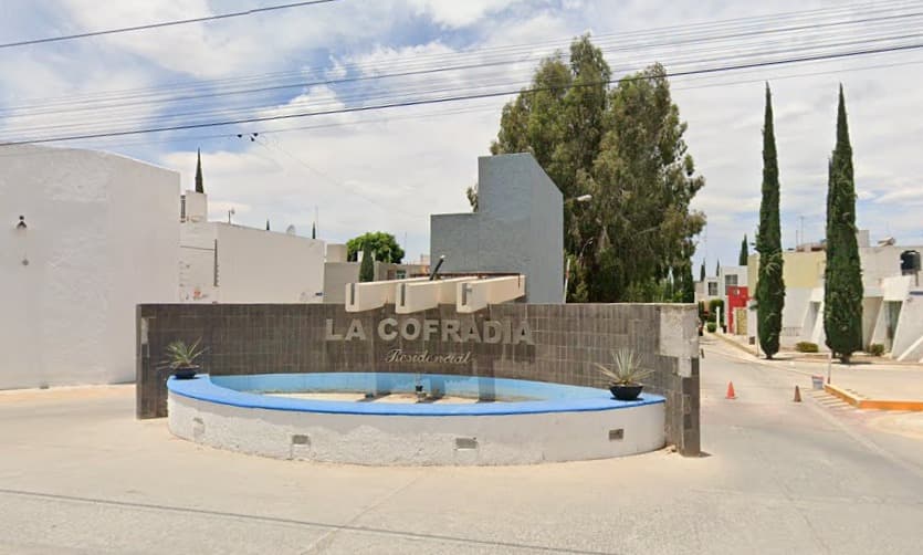 Denuncian envenenamiento masivo de perritos en Soledad