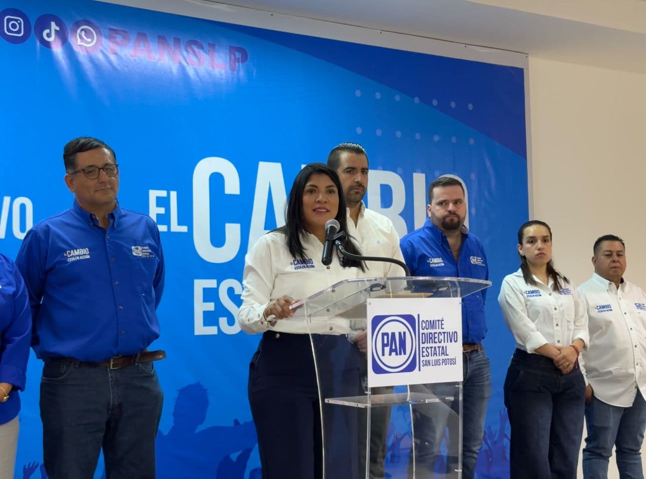 Niega Partido Acción Nacional divisiones internas