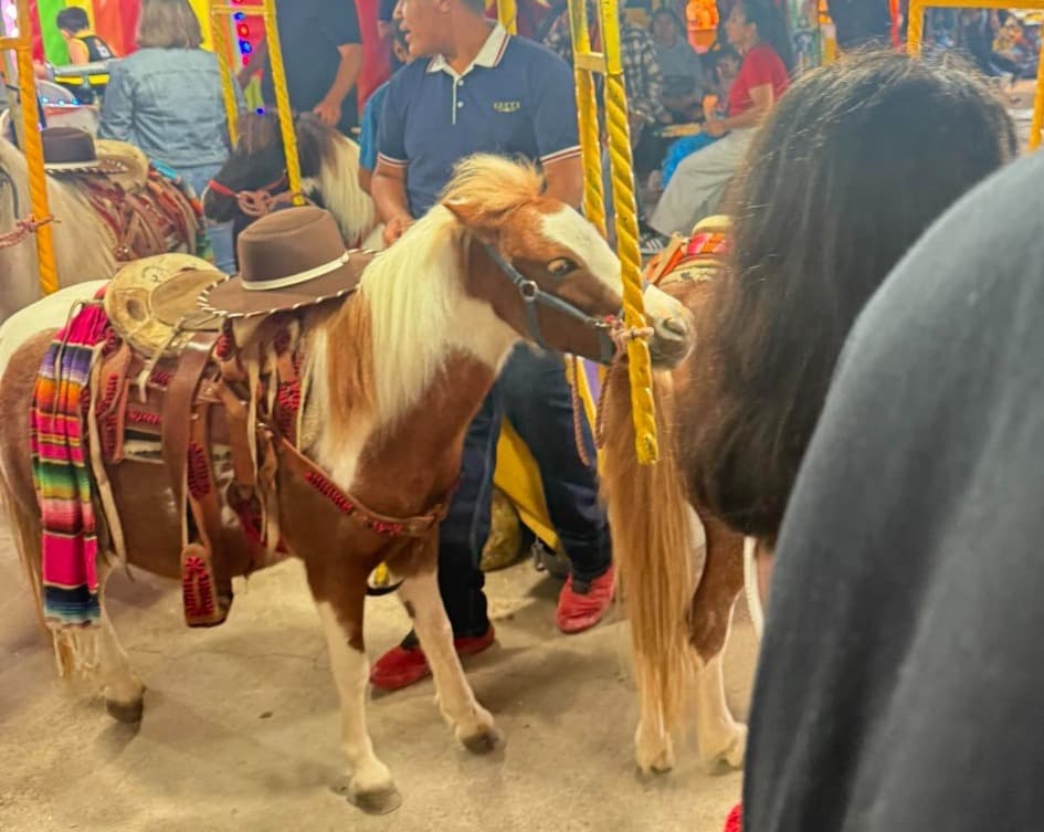Se manifiestan asociaciones animalistas contra uso de ponis en la FENAPO