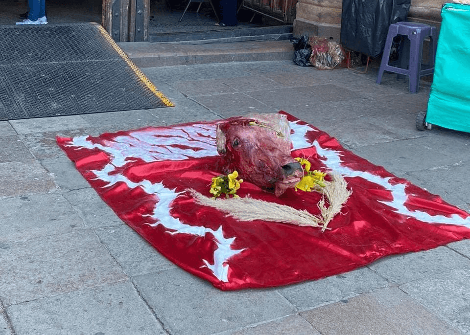 Llama Arquidiócesis al respeto tras actos ofensivos con cabeza de vaca