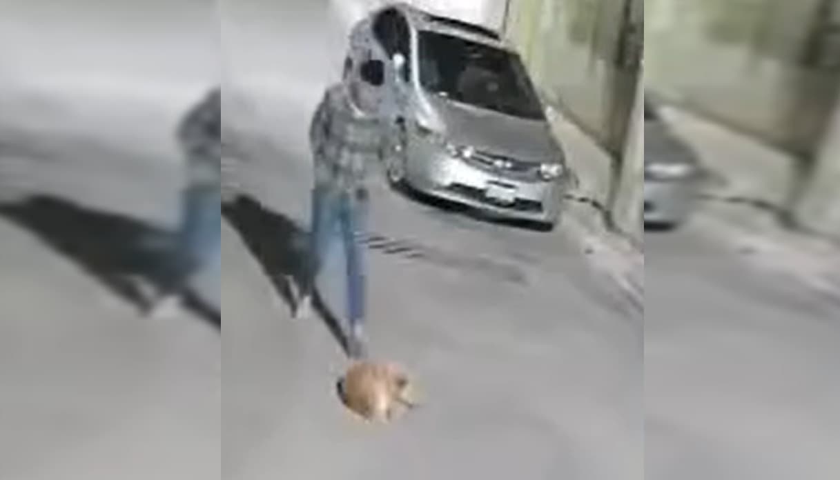 Denuncian ciudadanos nuevo caso de maltrato animal en SLP