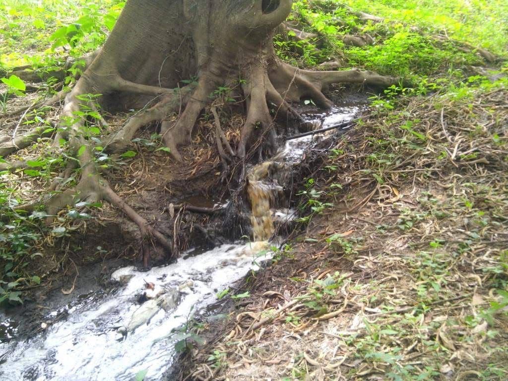 Ascienden hasta 1.6 millones de pesos multas por contaminación en afluentes de SLP