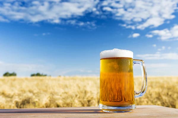 Celebran Día Mundial de la Cerveza ¿Cuáles son las mejores del mundo este 2025?
