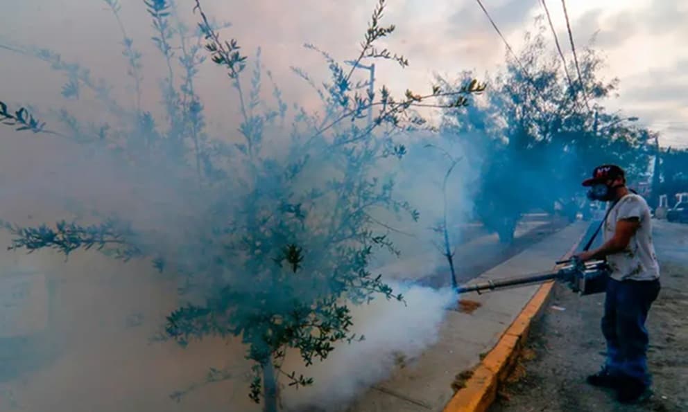 Se contagian de dengue más de 6 mil mexicanos en lo que va de 2025