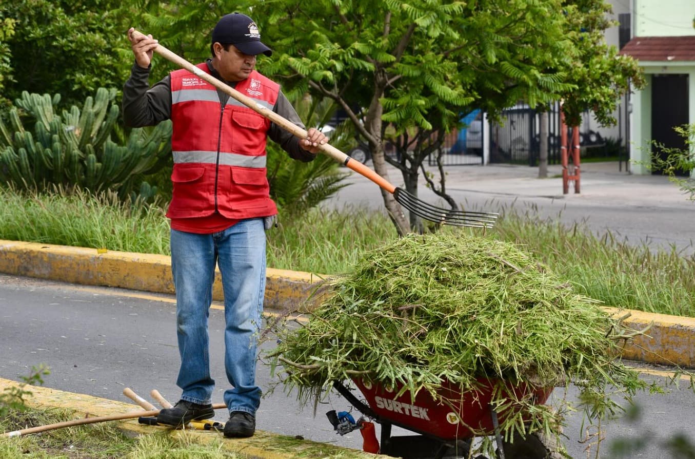 Despliegan operativos para hacer frente a maleza en áreas públicas