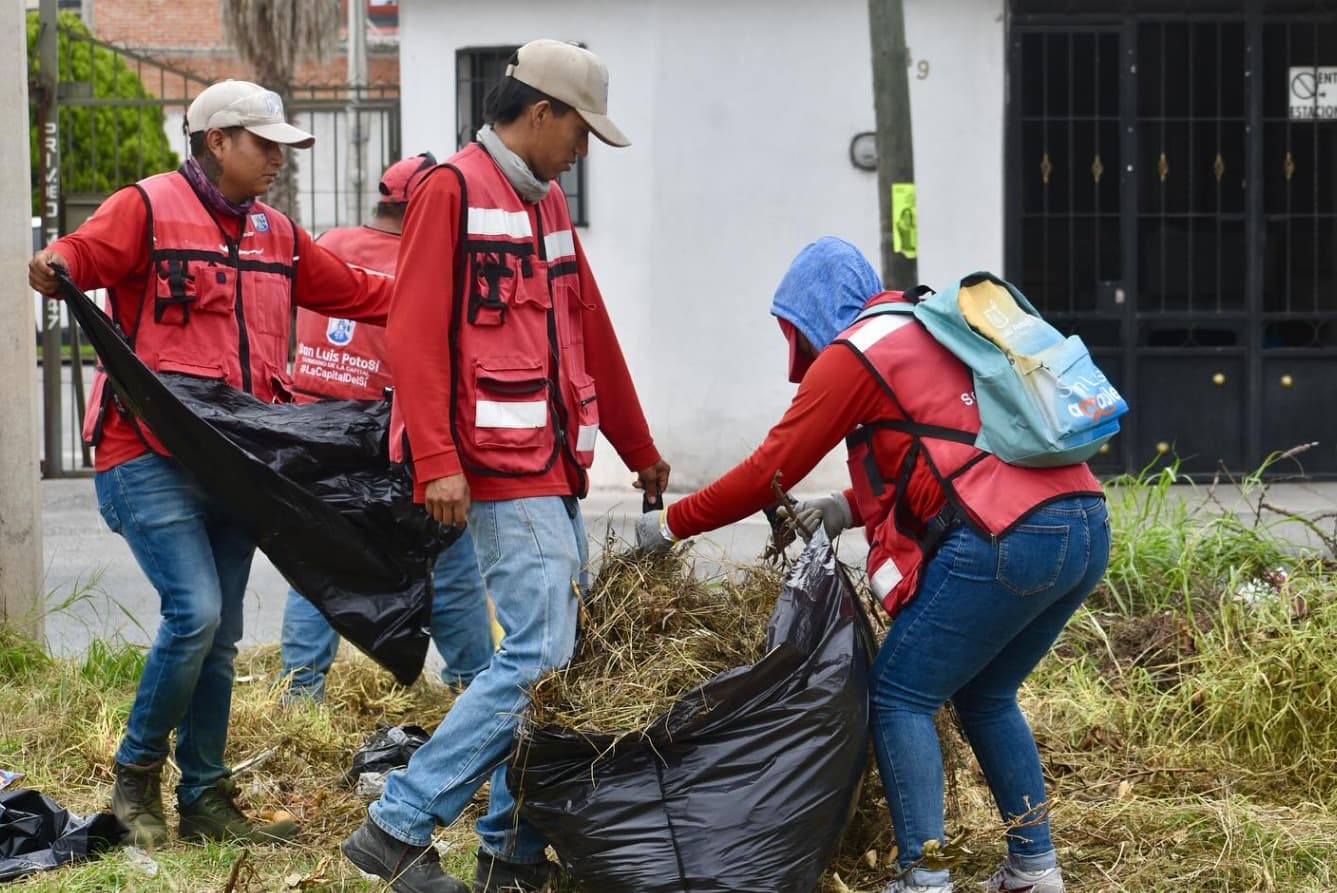 Intensifican labores de limpieza tras repunte de maleza en la ciudad