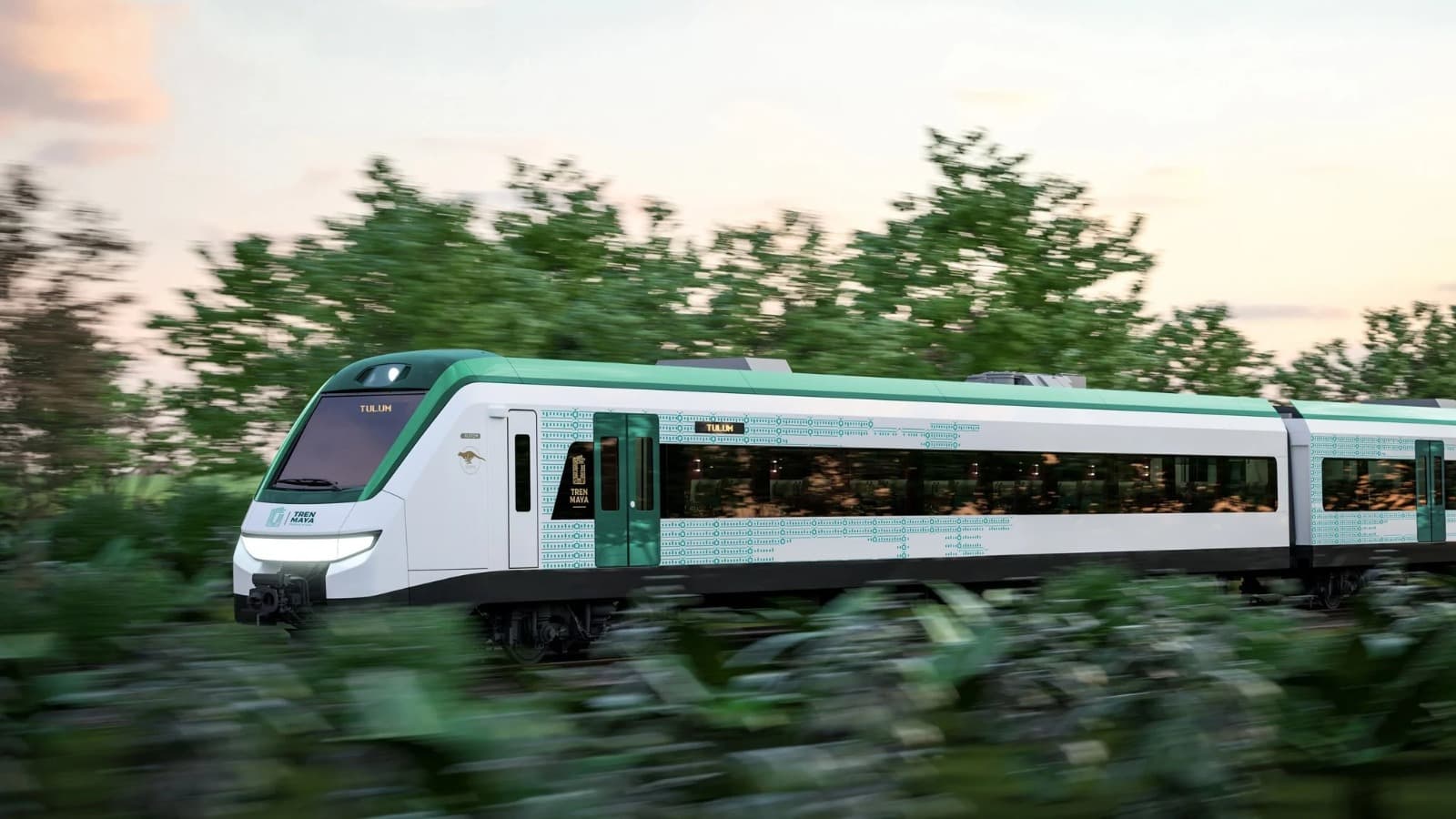 Desarrollo de tren de pasajeros en SLP contará con presupuesto limitado