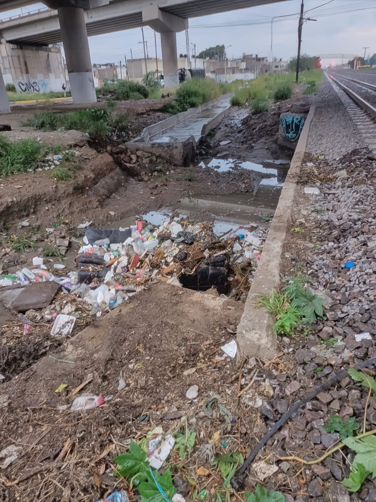 Basura, principal generador de inundaciones en la capital