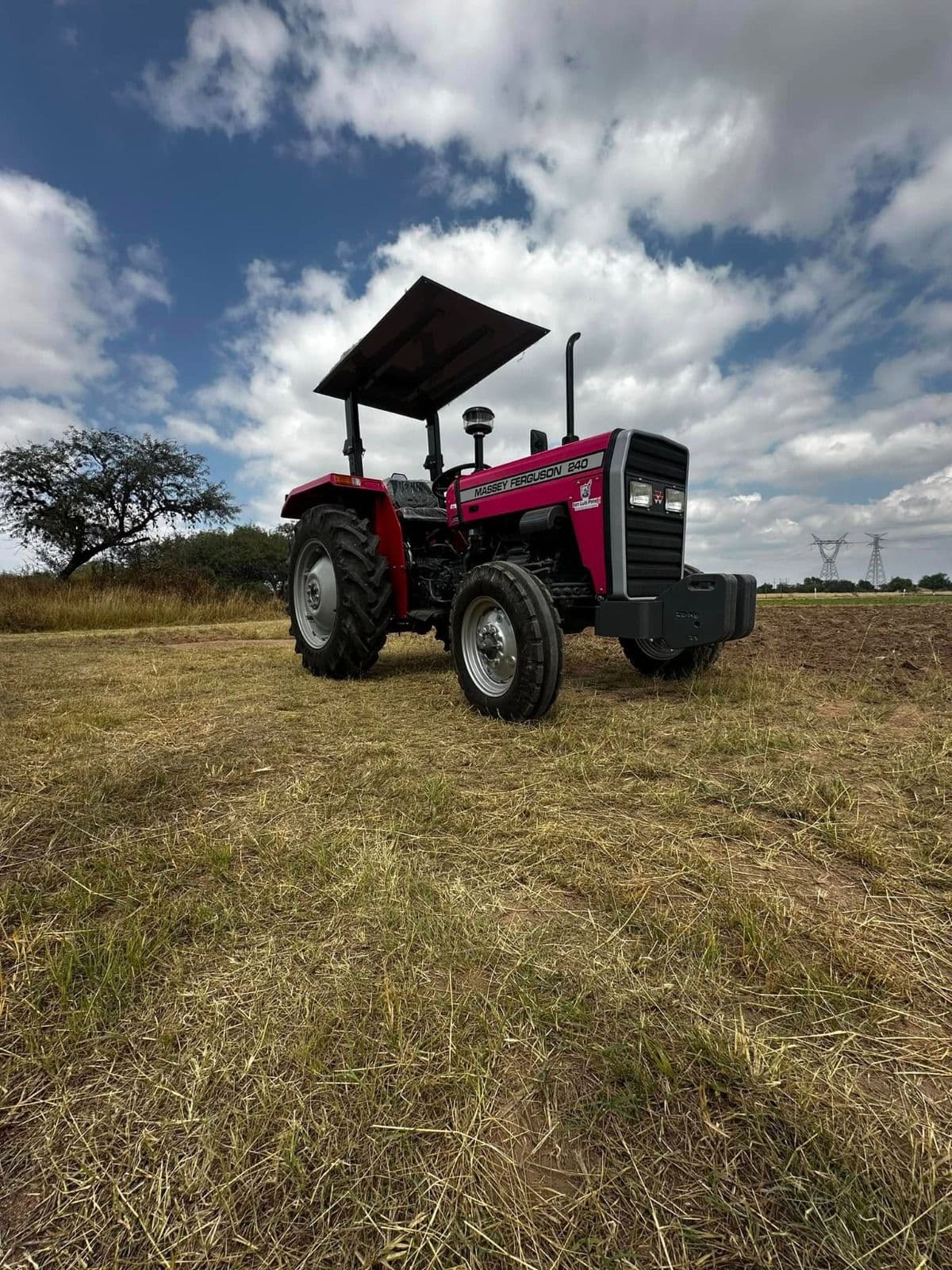 Impulsa Gobierno Municipal el desarrollo agropecuario