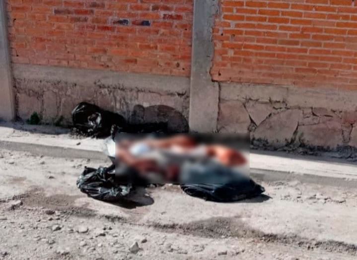 Hallan dos cuerpos desmembrados en bolsas negras en Villa de Pozos