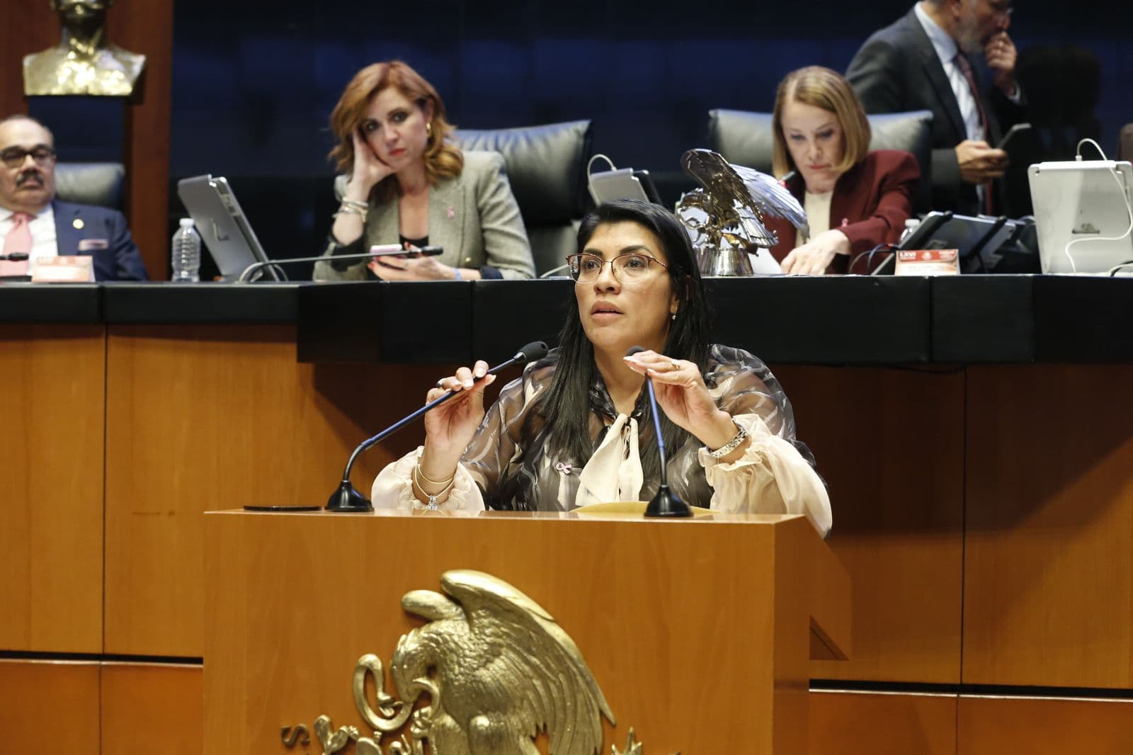 Condena senadora Verónica Rodríguez reforma de Morena