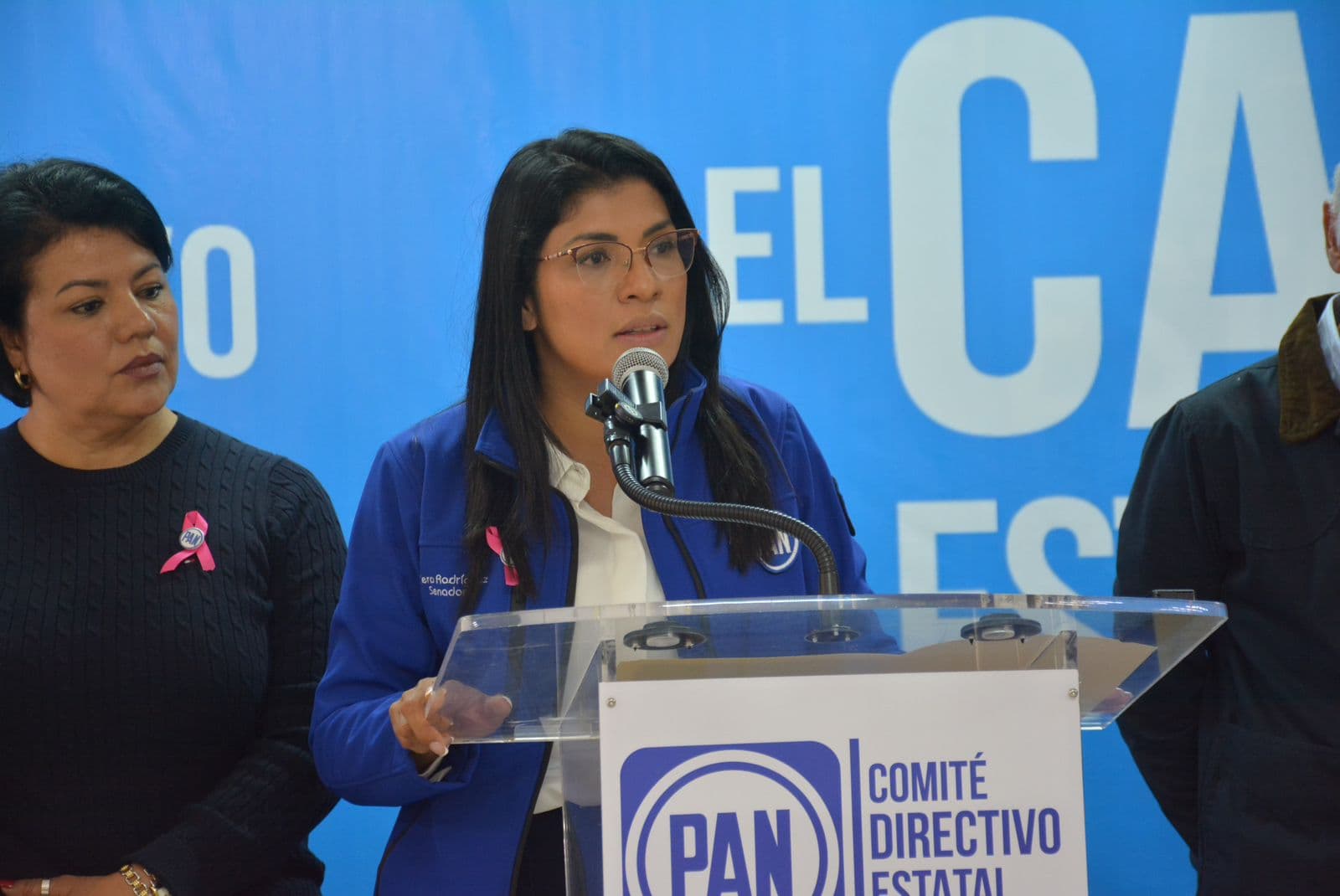 Impulsará el PAN Ley Reembolso ante desabasto de medicamentos
