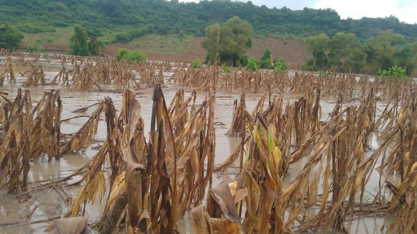 Piden apoyo a autoridades grupos indígenas de la Huasteca tras lluvias